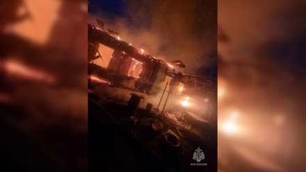 Появились фото с места смертельного пожара в воронежских Костёнках