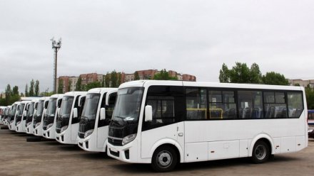 Воронежские перевозчики потратили на покупку автобусов 1,4 млрд рублей