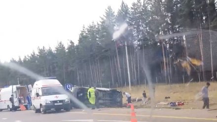 В Воронежской области три человека пострадали в ДТП с перевернувшимся микроавтобусом