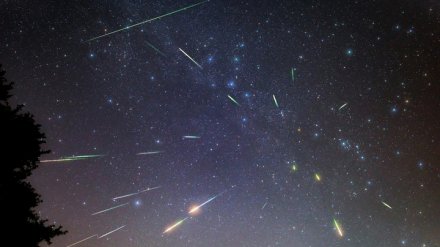 Мощнейший звездопад и другая галактика. Какие астроявления увидят воронежцы в 2018 году