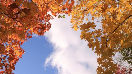 Прогноз погоды на 15.09.18