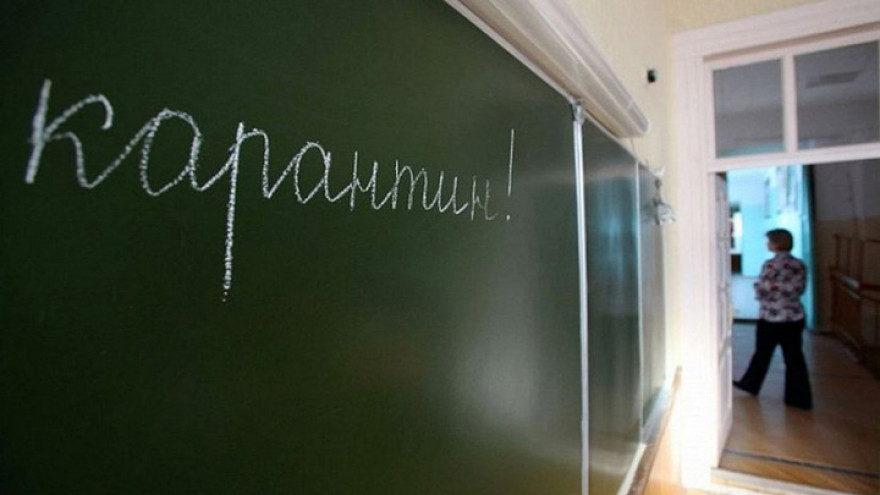 В Воронеже 14 школ частично закрыли на карантин из-за гриппа