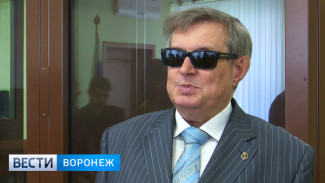 Адвокат бывшего главного архитектора Воронежа назвал его бизнес на службе «прегрешениями»