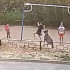 В Воронеже снова попытаются отловить покусавшую 7-летнего мальчика собаку
