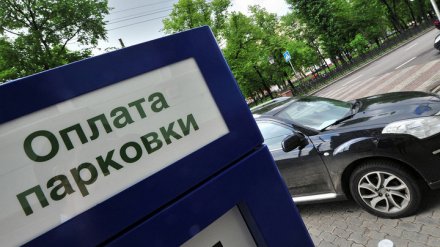 В центре Воронежа установили первые паркоматы