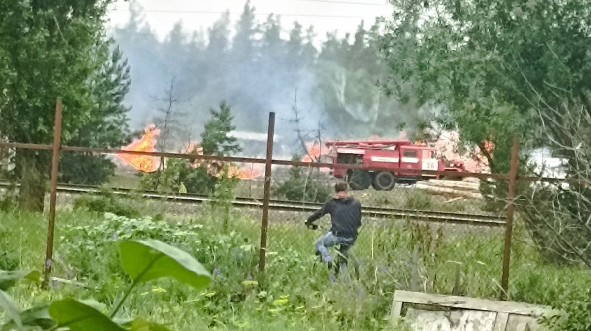 В Воронежской области загорелась лесопилка | 18.06.2024 | Воронеж -  БезФормата