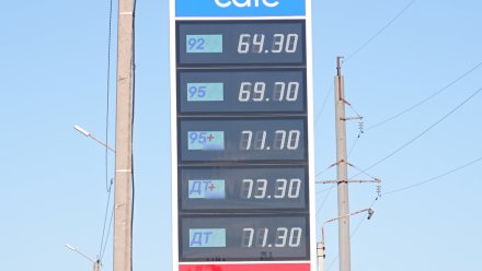 Власти отреагировали на жалобы воронежцев о росте цен на бензин