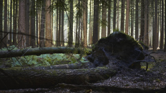 Воронежцы нашли обломки ракеты на окраине города