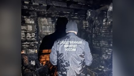 Двухлетний мальчик погиб при пожаре в Воронеже