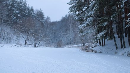 Прогноз погоды в Воронеже на 20.02.2025