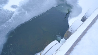 Прокуроры предложили губернатору найти средства для «лечения» Воронежского водохранилища