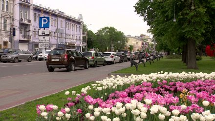 Воронежские борцы против платных парковок потерпели второе поражение в суде