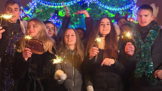 ВИДЕО: Скандальная воронежская ёлка попала в клип группы «Ленинград»