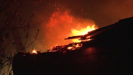 При пожаре в воронежском райцентре пенсионер обжёг себе руки