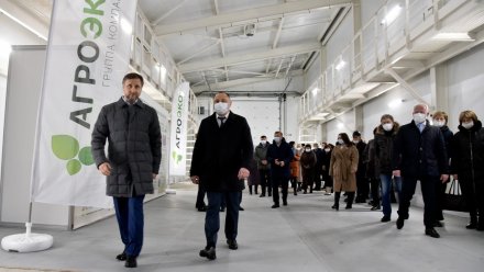 ГК «Агроэко» открыла новый свинокомплекс в Воронежской области 