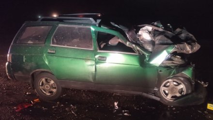 35-летний воронежец умер в больнице после ДТП с фурой на трассе Курск – Саратов