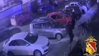 Появилось видео расстрела мужчины на улице Антонова-Овсеенко в Воронеже