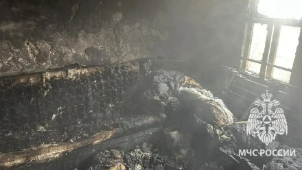 43-летний воронежец погиб при пожаре из-за непотушенной сигареты