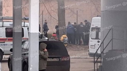 В Воронеже спасатели распилили волейбольную сетку из-за застрявшего пальца школьника