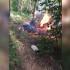 В Воронеже неизвестный взорвал собачью будку и устроил пожар в лесу