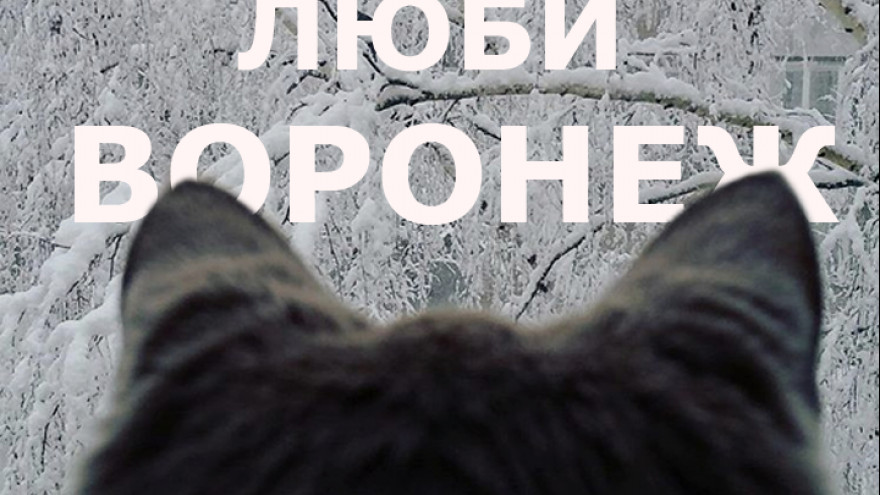 Белоснежный город на снимках воронежцев