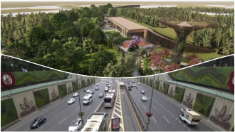 Метробус и большой активити-парк. На что воронежцы возлагают надежды в будущем 