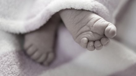 В Воронежской области иномарка влетела в фуру: пострадали 2 взрослых и 6-месячный малыш