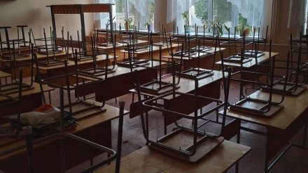 Власти задумались о переводе воронежских школьников на дистанционку