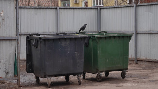 «Мусорные» камеры проследят и за автомобилистами в Воронеже