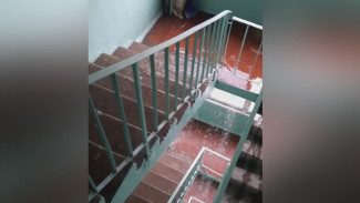 Воронежцы после ливня сняли на видео мощный водопад в подъезде 9-этажки