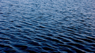 Двое мужчин утонули в Воронежском водохранилище