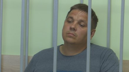 В Воронеже прокуратура потребовала вернуть в СИЗО прославившегося 22 квартирами гаишника