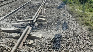 Губернатор назвал возможных организаторов теракта на ж/д в Воронежской области