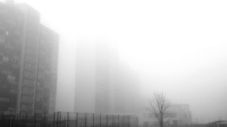 В Воронежской области задержится туман
