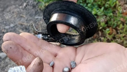 В Минобороны назвали точное число сбитых над Воронежской областью дронов