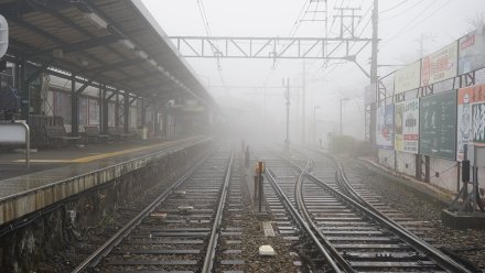 В Москву пустили дополнительные поезда через Воронеж