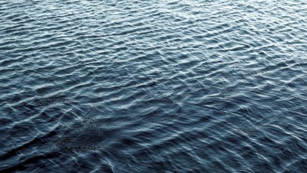 Под Воронежем в озере Круглое утонул мужчина