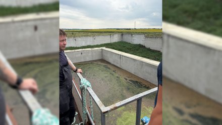 Власти проверят производителя солода после жалоб воронежцев на сброс стоков в Тихую Сосну