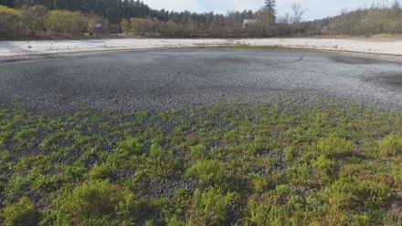 Пересохшее озеро в Воронежском заповеднике начало заполняться водой