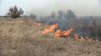 В четырёх районах Воронежской области установили 4 класс пожароопасности