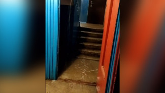 Воронежец снял на видео ливень в подъезде многоэтажного дома