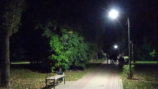 Половина сквера в Воронеже осталась без освещения