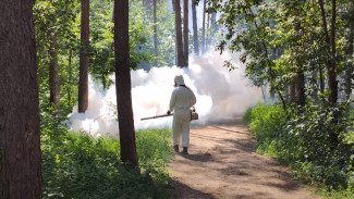 Воронежские парки избавят от комаров и клещей горячим туманом