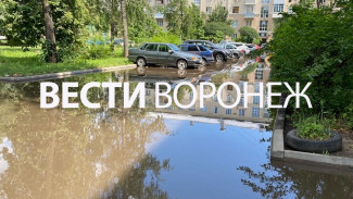 Воронежцы пожаловались на затопленный больше недели двор 4-этажки