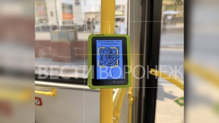 В 17 воронежских маршрутках запустили возможность оплаты проезда через Max 