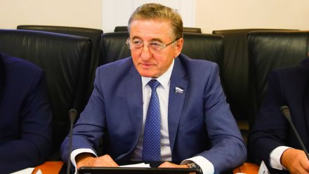 Воронежский сенатор прокомментировал итоги пленарного заседания Совета Федерации