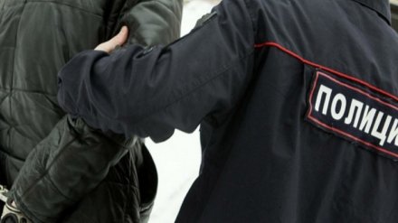 Жителя Воронежской области осудили за нападение на полицейского в Москве