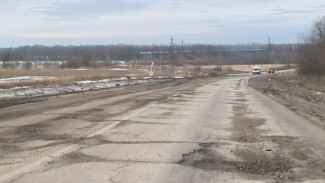 Воронежские водители пожаловались на разбитую дорогу между Таловой и Новохопёрском
