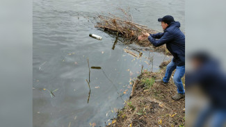 Экологи взяли пробы воды после жалоб воронежцев на разлив солярки в Дону
