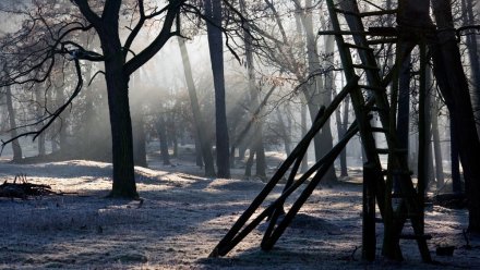 Ясная и морозная погода задержится в Воронеже из-за антициклона